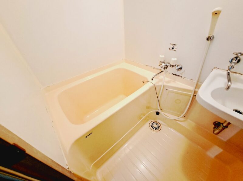 人気の中心部エリア◎常盤公園近く・ペット飼育可能ですので散歩コースに癒やされます!!２ＤＫ 11枚目画像